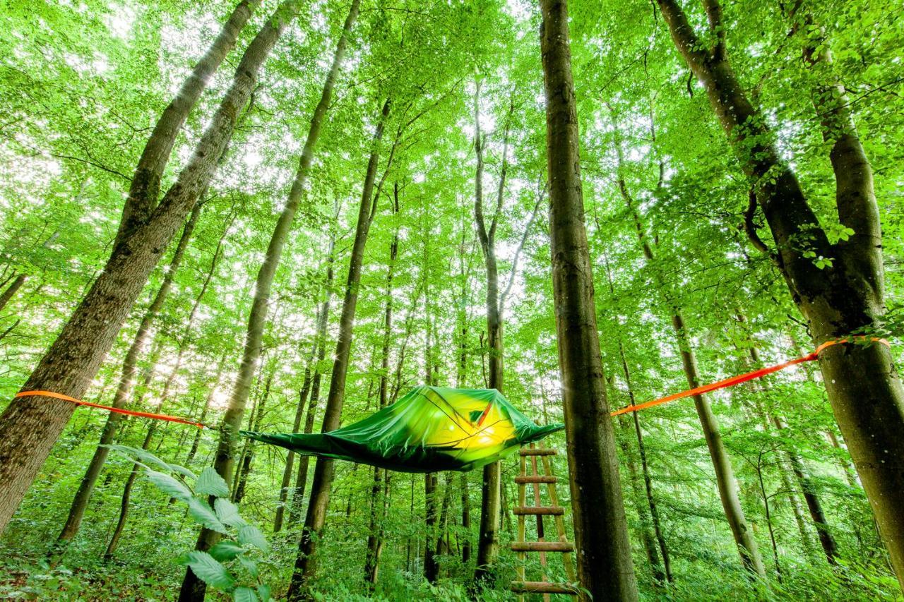 Appartementhaus Eifeladventures Berlingen Luaran gambar
